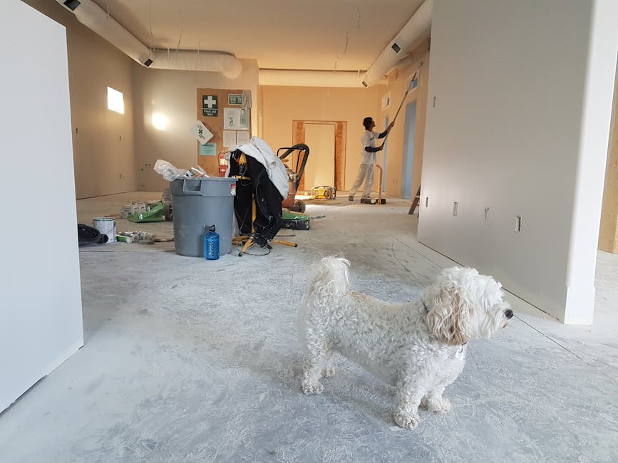 Converting crawl spaces into usable storage during remodels